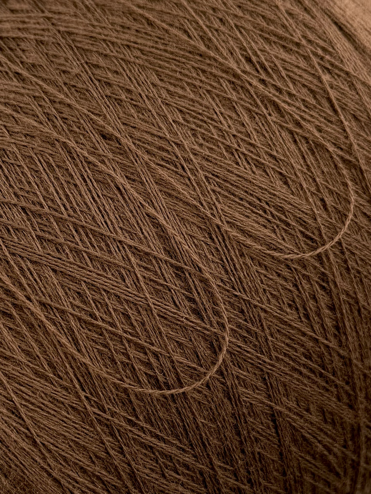 Zegna Baruffa Cashwool 2/30 – Fil mérinos extrafin Brun 155601